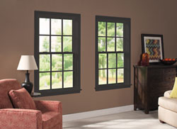 rsw double hung living room painted black